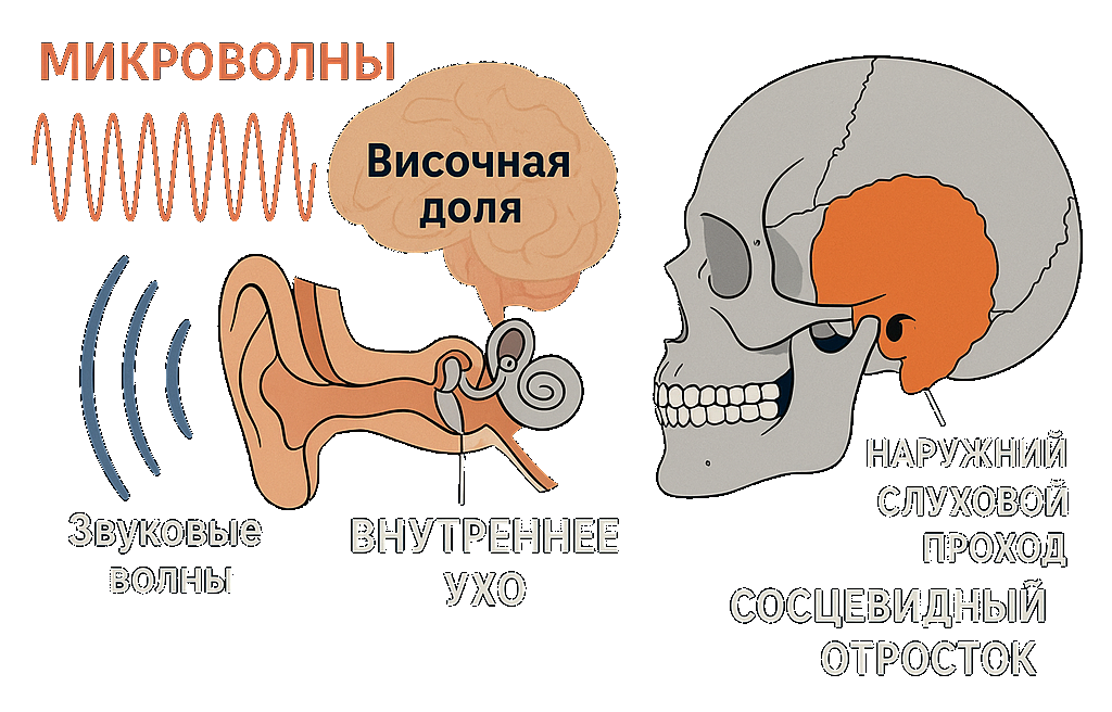 V2K технология